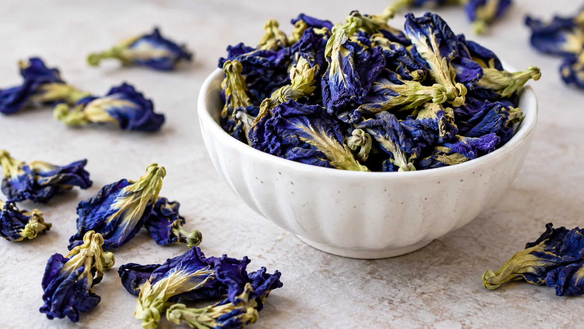 Dried blue butterfly pea flowers with curled petals in a white bowl