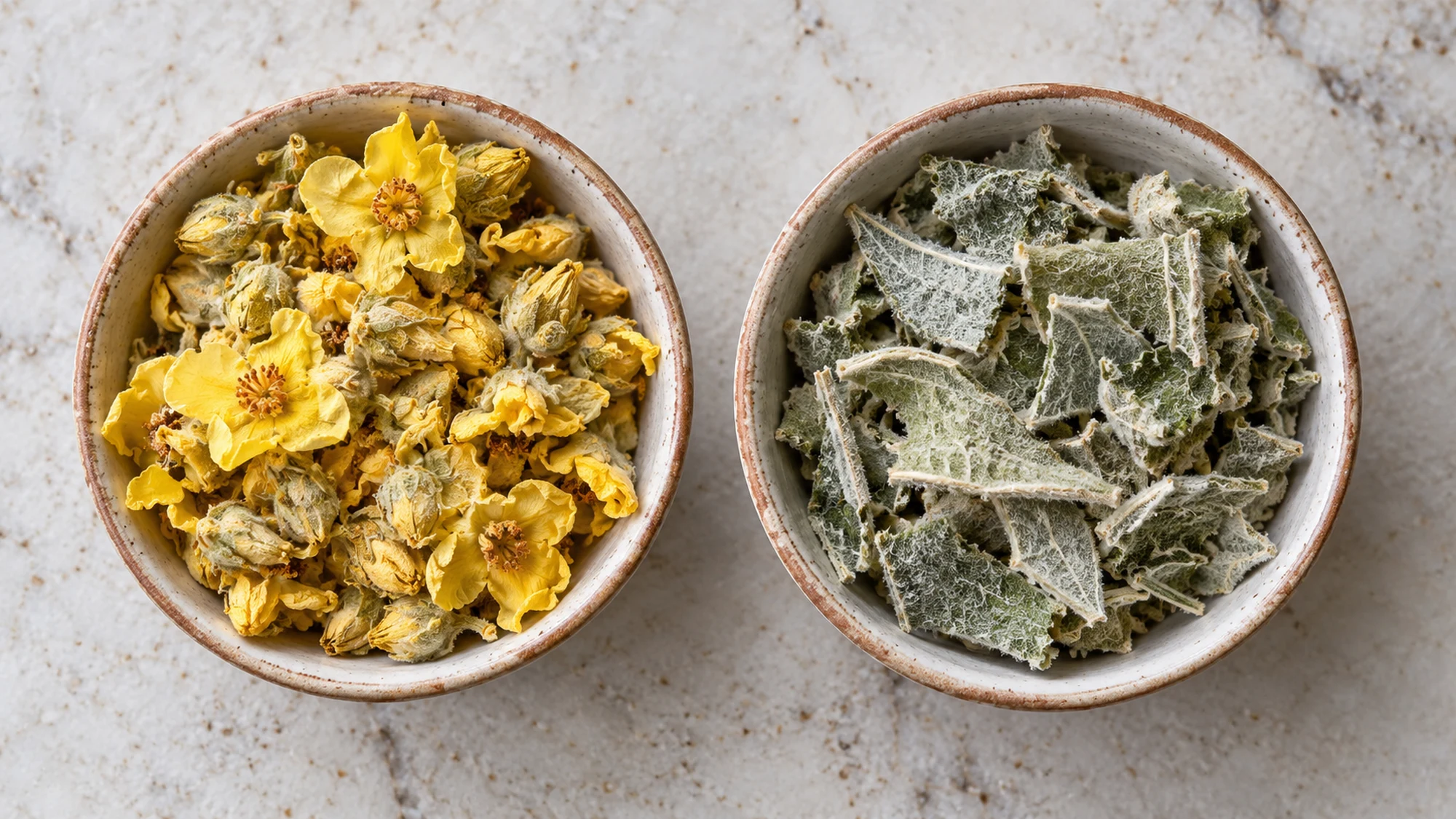 Mullein tea ingredients: separate bowls of dried flowers and leaves
